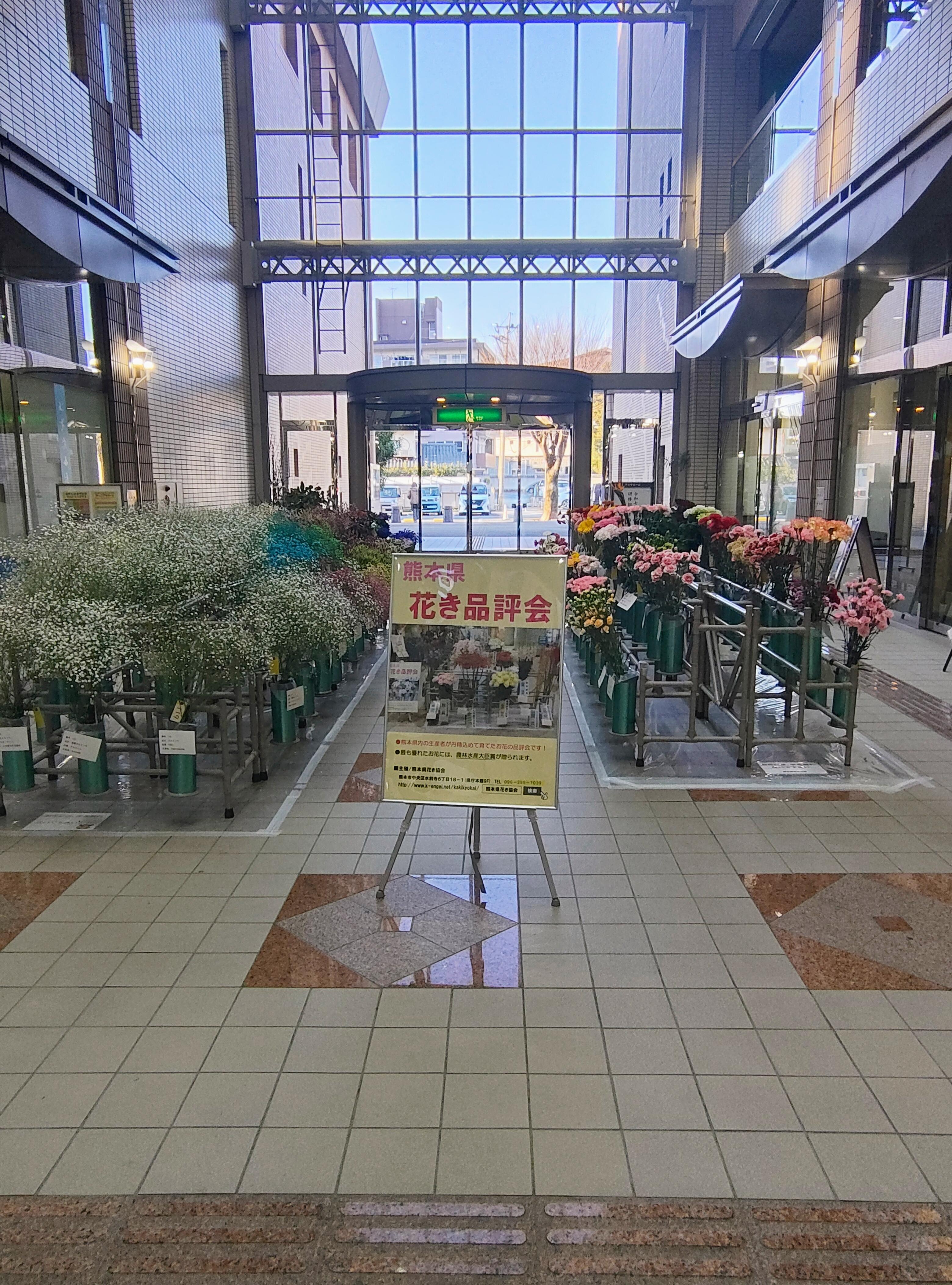 IMG_20260203_163713105_HDR_AE (002).jpg